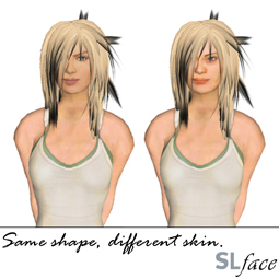Same shape, Different skins shows how different skins can make the same avatar shape look rather different.