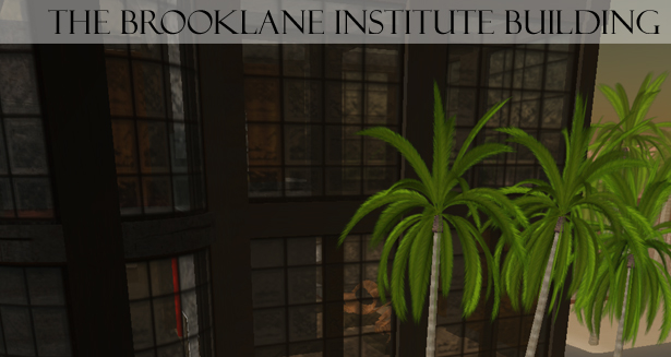 brooklane institute
